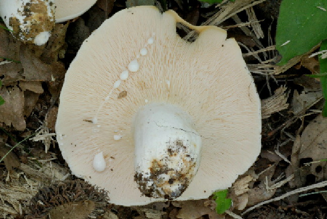 Uscita del 18 Cima di Tuoro (PG)